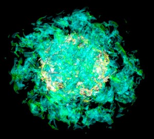 Simulaciones Tridimensionales de Supernovas
