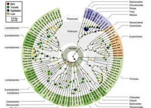 Descifran genomas de hace 3.000 millones de años