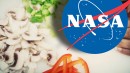  Pizza en menú de expedición a Marte
