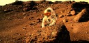 Marte: ¿Y los astronautas para cuándo?