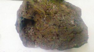 Hallaron parte de un meteorito en una finca de Alperovich