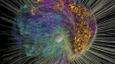 ¡A Prepararse! Explotará Súper Nova y será visible... dentro de 50 años