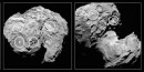 Seleccionan 5 Puntos de Cometizaje para Rosetta