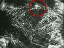 Houston, estamos en problemas... ¡Perdimos una Araña!