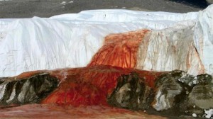 Descubren Mar de 1.000.000 de años bajo el Hielo Antártico