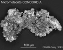 Muchos Astros del Cinturón Principal de Asteroides Se Formaron Fuera del Mismo
