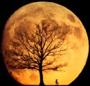 La NASA prepara una misión para estudiar la frágil atmósfera de la Luna