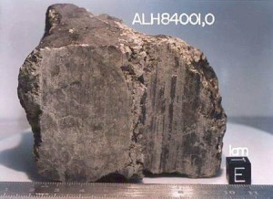 Fósiles de insectos son encontrados en meteorito marciano que aterrizó en la Tierra hace 13.000 años