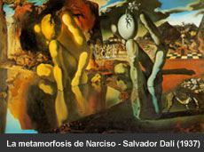 La Metamorfosis de Narciso